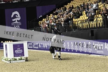 182194_kbb_03_Z092864.JPG