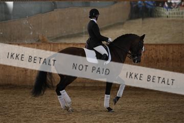 139206_kl_1_8M1Q5400.JPG