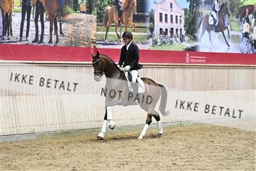 182241_kbb_01_Z094700.JPG