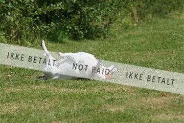 130370_se_02_IMG_6179.JPG