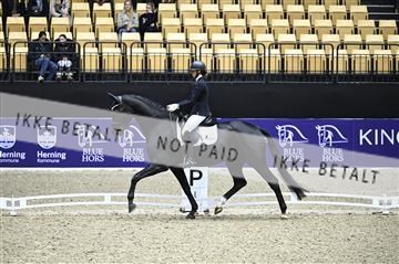 182194_kbb_01_Z096677.JPG