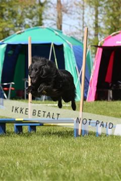 134871_ms_02_IMG_3100.JPG