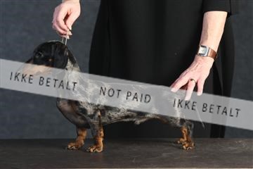 132082_le_ 01_IMG_0169.JPG