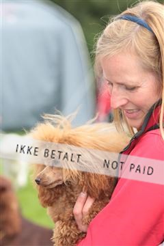 130370_tl_02_IMG_7683.JPG