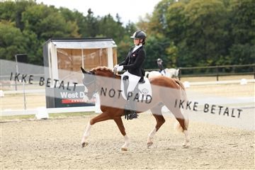 181894_mtp_02_R62_1130.JPG