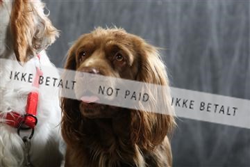 129608_le_ 01_0719.JPG