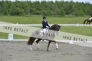 140040_abo_01__AB16913.JPG