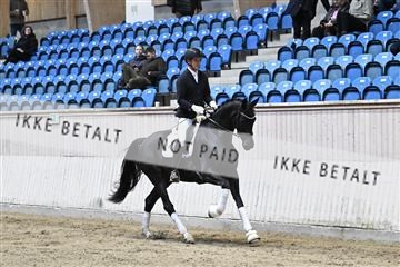 182241_kbb_01_Z094123.JPG