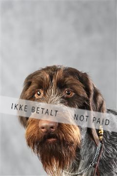 128239_le_ 06_0028.JPG