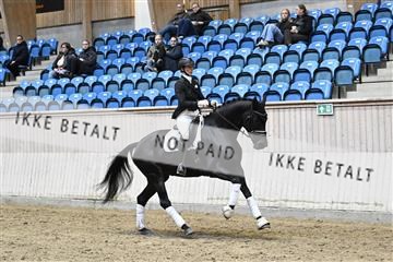 182241_kbb_01_Z093415.JPG