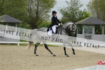 139835_sg_01_IMG_7940.JPG