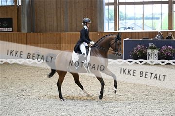 182176_kbb_01_Z094177.JPG