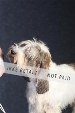 132082_le_ 01_IMG_0052.JPG