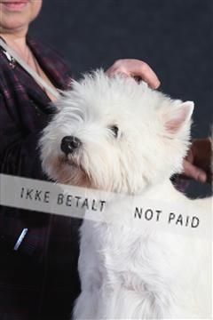 132082_le_ 01_IMG_1397.JPG