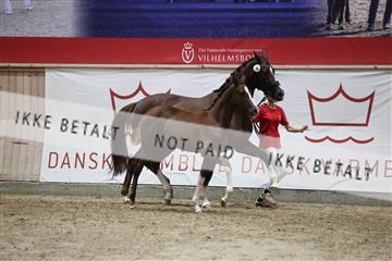 181957_mtp_08_R62_5516.JPG
