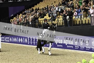 182194_kbb_03_Z092857.JPG