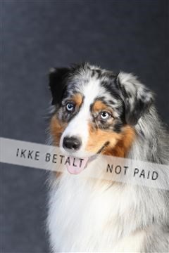 132082_le_ 01_IMG_0155.JPG