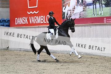 182241_kbb_01_Z094228.JPG