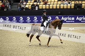 182194_kbb_02_Z098570.JPG