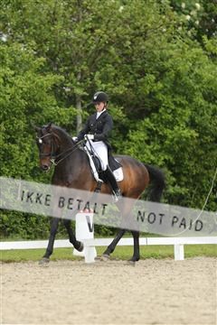 139835_sg_01_IMG_8371.JPG