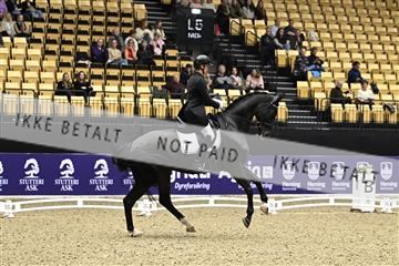 182194_kbb_03_Z090116.JPG