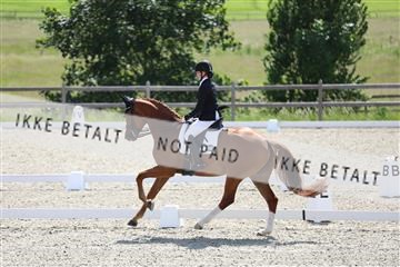 172030_mtp_01_3M5A2391.JPG