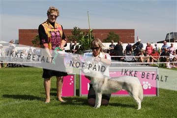 130370_se_02_IMG_6288.JPG