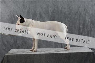 128239_le_kort_ 01_0246.JPG