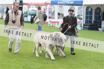 130370_tl_02_IMG_7625.JPG