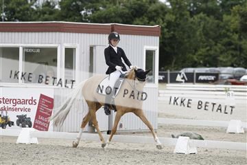 166078_rhj_01__J7R3065.JPG