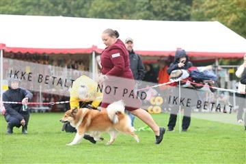 182009_rin_02_R62_2793.JPG