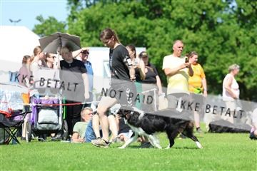 181564_rin_02_R62_3086.JPG
