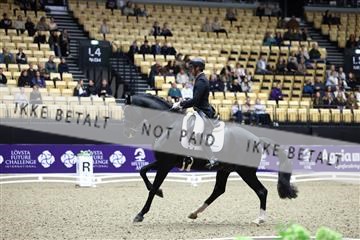 182194_mlm_01_R62_0101.JPG