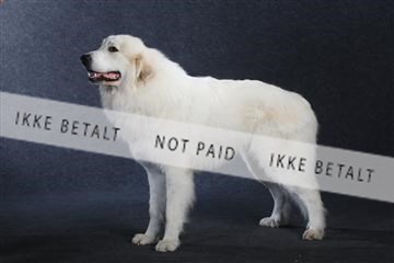 132082_le_ 01_IMG_0824.JPG