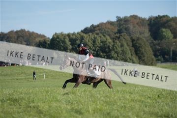 2019 Copenhagen Eventing Niels Goldschmidt Lasse 163761_KNF_01_KEE_295.jpg
