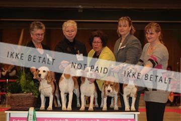 124188 _tl_02_IMG_9532.JPG