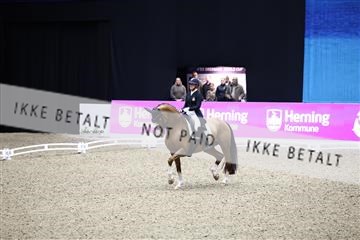 182194_avh_05_2872.JPG