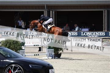 181436_avh_03_4449.JPG