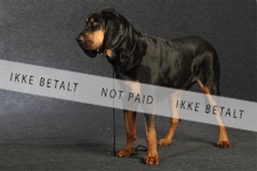 132082_le_ 01_IMG_0833.JPG