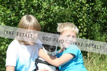 130370_se_02_IMG_6203.JPG