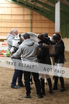 139265_kl_1_8M1Q6363.JPG