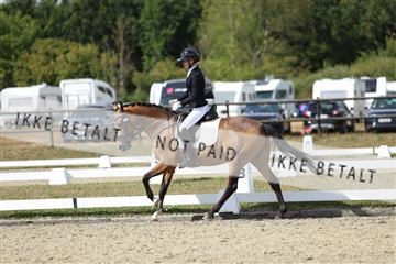 181894_mtp_05_R62_4648.JPG