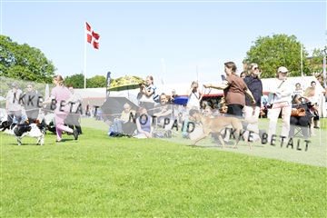 181564_kar_01__62_7975.JPG