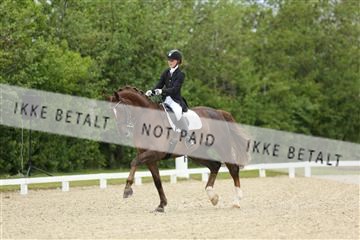 139835_sg_01_IMG_7789.JPG