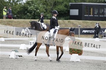 166078_rhj_01_166078_rhj_01__J7R1746.JPG