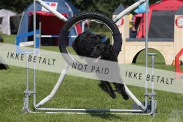 130370_tl_02_IMG_7804.JPG