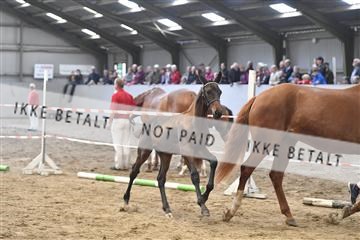 156435_kuo_01__D056597.JPG