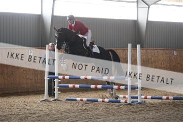 139206_kl_1_8M1Q5099.JPG