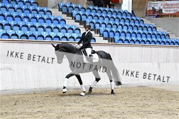 182241_kbb_01_Z094251.JPG
