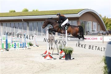 181922_avh_01_1152.JPG